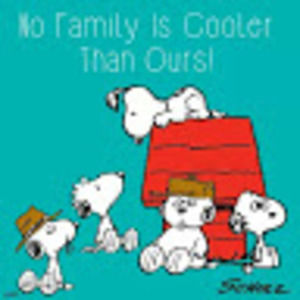 Meet your Posher, Deebee